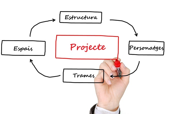 El control del projecte